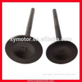 Parts to a Motorcycle Engine Head Valves Intake and Exhaust Valves